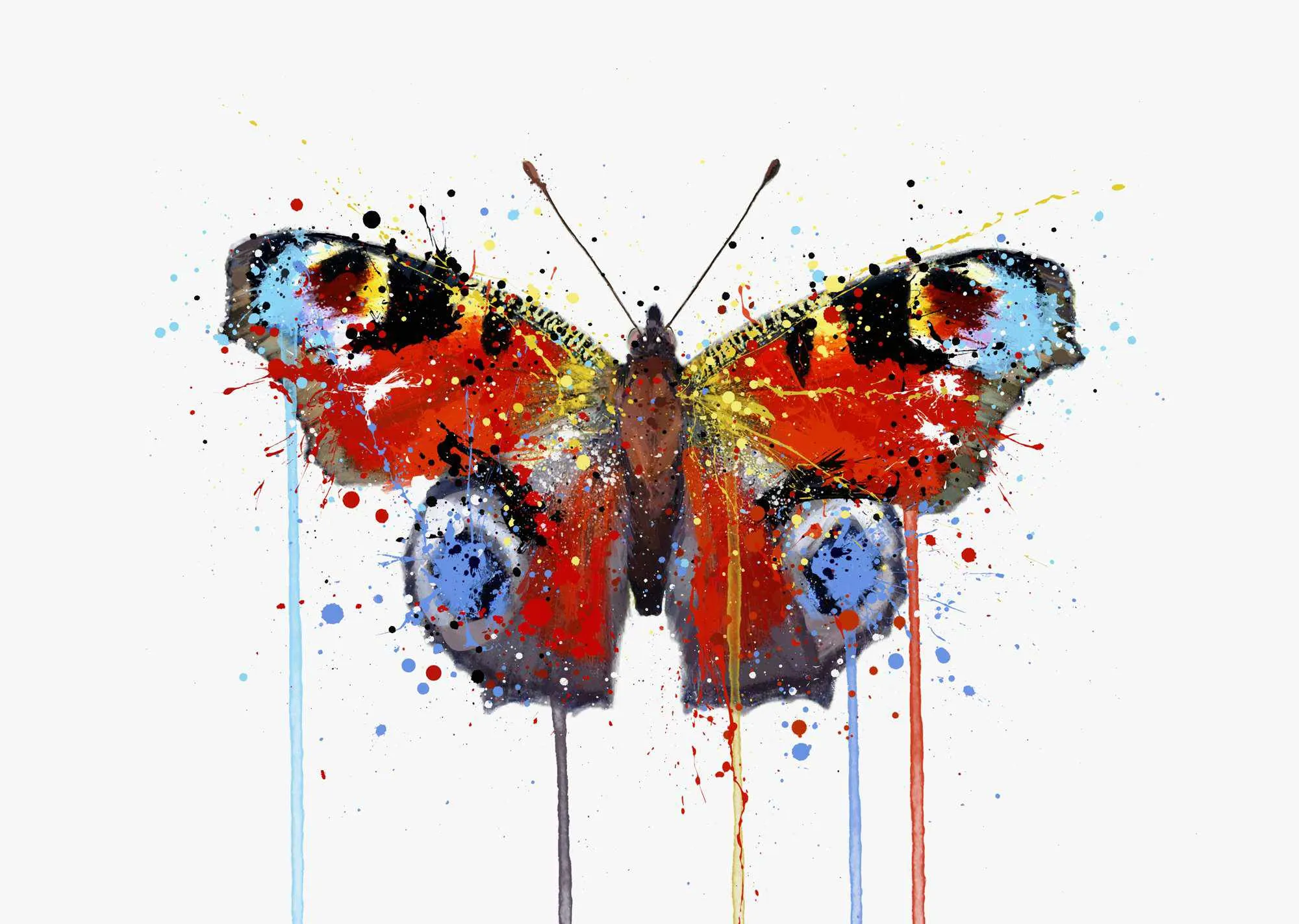 Butterfly Wall Art Print ‘Peacock’