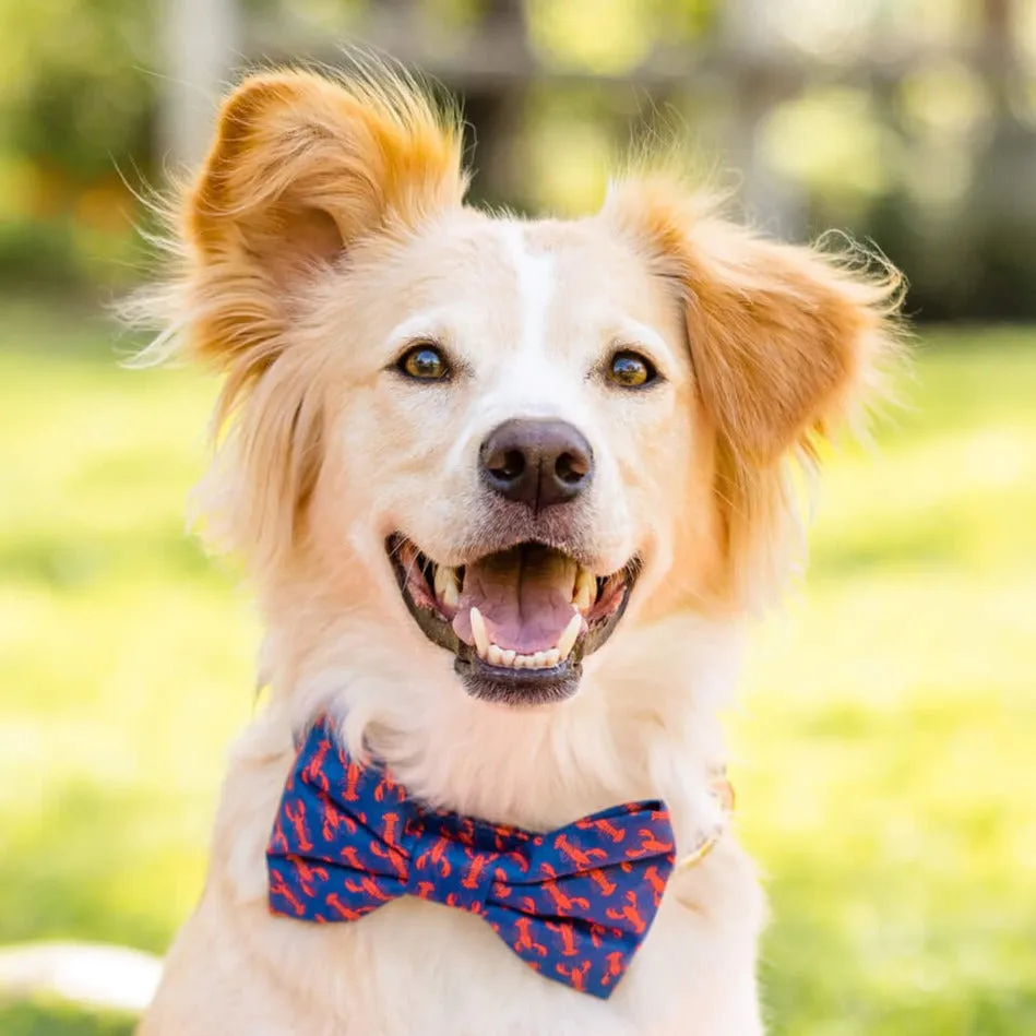 Catch of the Day Dog Bow Tie