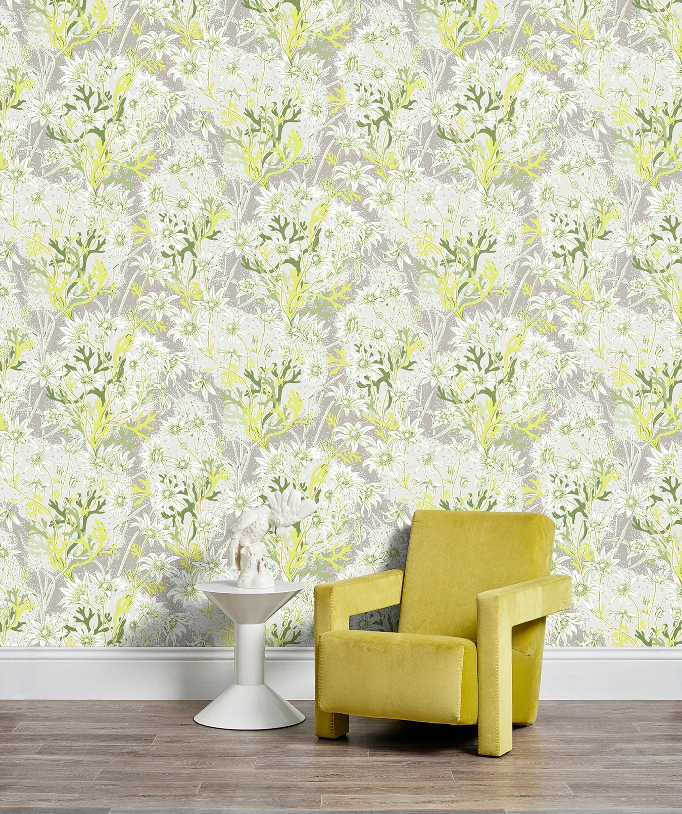 Flannel Flower Lime Wallpaper